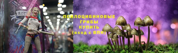 гидропоника Аркадак