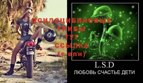 гидропоника Аркадак