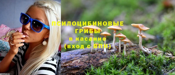 винт Армянск